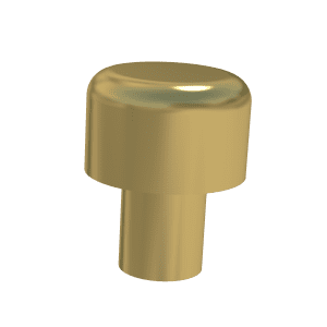 SD4 Skateboard Deterrent Brass Round